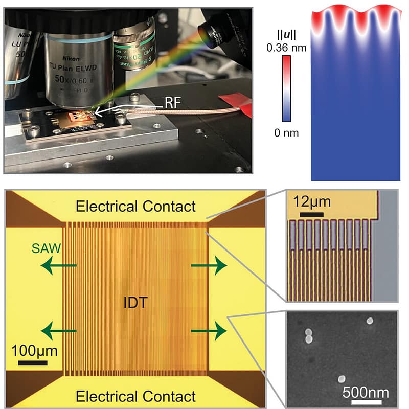 Luz Esculpida: Da Tela Comum à Holografia 3D